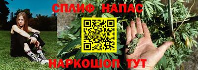Альфа ПВП Славгород
