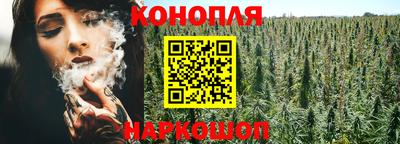 Альфа ПВП Славгород