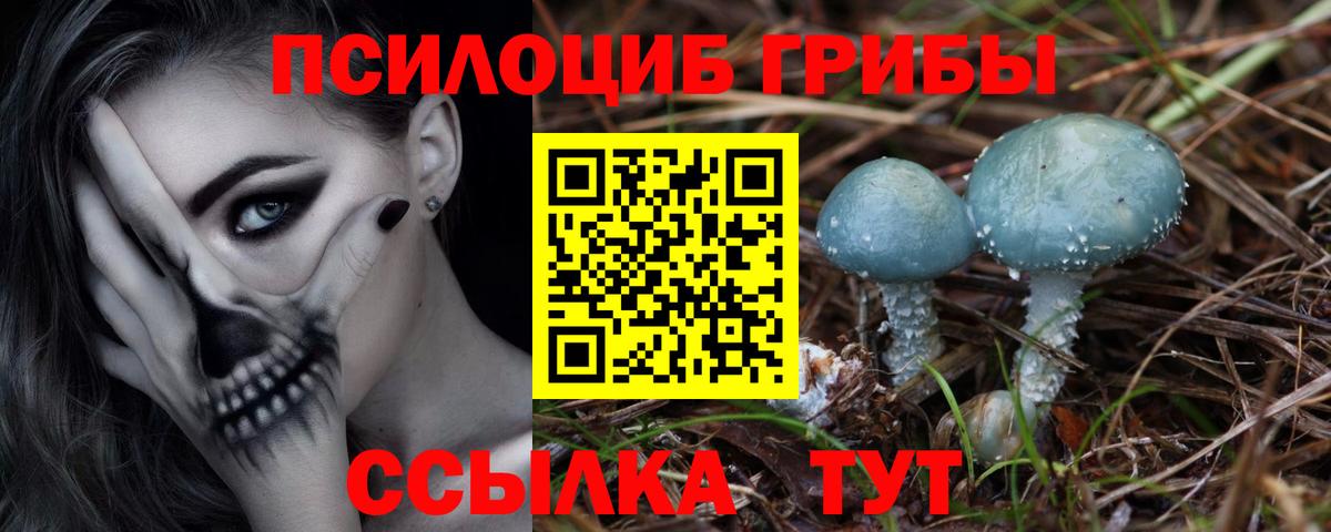 Псилоцибиновые грибы Magic Shrooms  Галлюциногенные грибы ЛСД  Вход с VPN  Волжск 